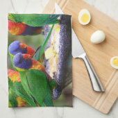 Colorful Rainbow Lorikeet Parrots Eating Theedoek (Quarter Fold)