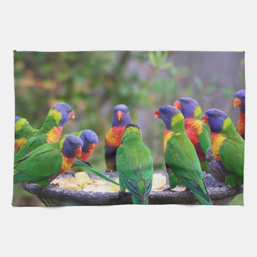 Colorful Rainbow Lorikeet Parrots Eating Theedoek (Horizontaal)