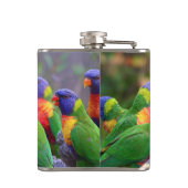 Colorful Rainbow Loriket Parrots Eating Heupfles (Achterkant)