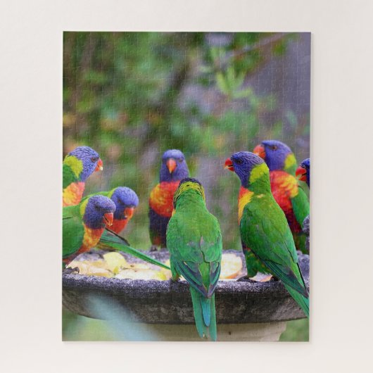 Colorful Rainbow Loriket Parrots Eating Legpuzzel (Verticaal)