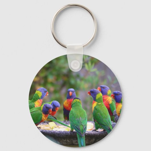 Colorful Rainbow Loriket Parrots Eating Sleutelhanger (Voorkant)
