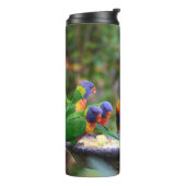 Colorful Rainbow Loriket Parrots Eating Thermosbeker (Gedraaid links)