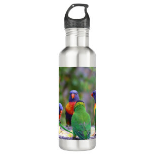 Colorful Rainbow Loriket Parrots Eating Waterfles