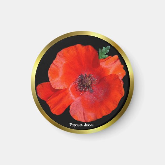 Colorful Red Poppy Magneet (Voorkant)