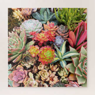Colorful Red Succulent MixPuzzle Legpuzzel