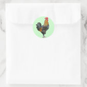 Colorful Rooster Stickers (Tas)