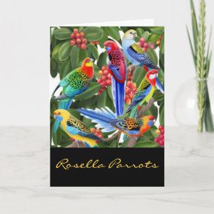 Colorful Rosella Parrots-kaart Feestdagen Kaart
