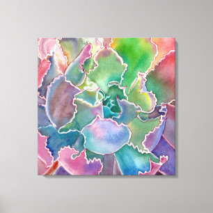 Colorful rosette succulent waterverf canvas afdruk
