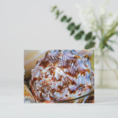 Colorful Seashell Briefkaart (Staand voorkant)