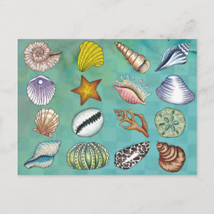 Colorful Seashell Briefkaart