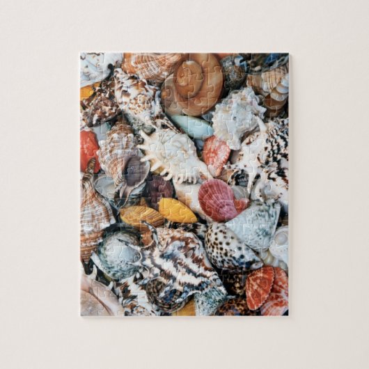 Colorful Seashells Legpuzzel (Verticaal)