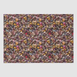 Colorful Seashells Photo Repo Pattern Tissuepapier