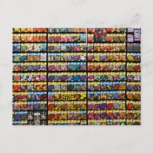 Colorful Seed Packet Briefkaart