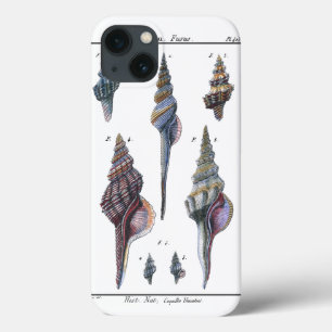 Colorful Seven Seashells iPhone 13 Hoesje
