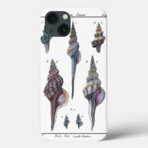 Colorful Seven Seashells iPhone 13 Hoesje