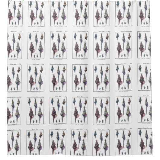 Colorful Seven Seashells Douchegordijn (Voorkant)