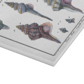 Colorful Seven Seashells Snijplank (Hoek)