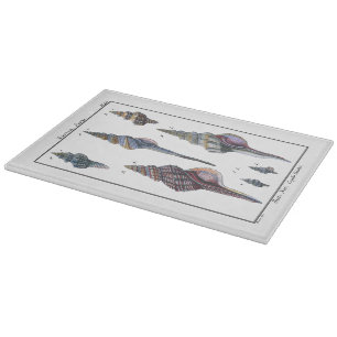 Colorful Seven Seashells Snijplank