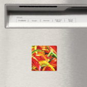 Colorful sliced peppers magnet (In Situ (Lave-vaisselle))