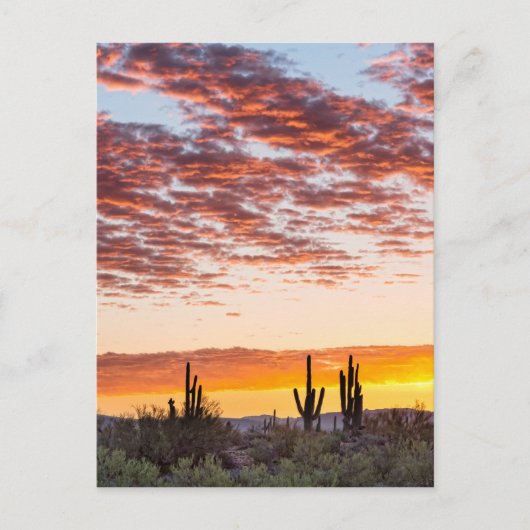 Colorful Sonoran Desert Sunrise Briefkaart (Voorkant)