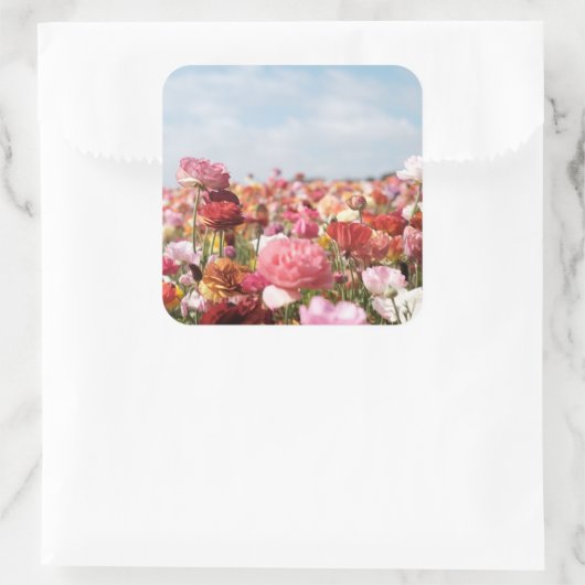 Colorful spring flower sticker (Sac)