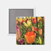 Colorful Spring Tulips Magneet (Voorkant / Achterkant)