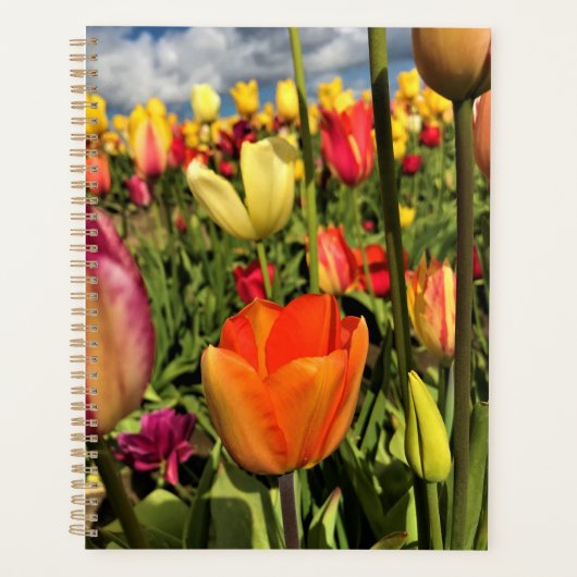 Colorful Spring Tulips Planner (Voorkant)