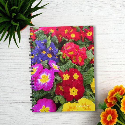 Colorful Springtime Medley of Primulas Notitieboek