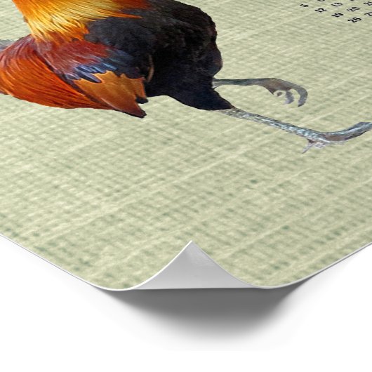 Colorful Strutting Rooster 2026 Calendar Poster (Coin)