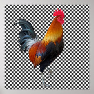 Colorful Strutting Rooster Poster