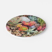 Colorful Succulent Mix Paper Bord (Gekanteld)