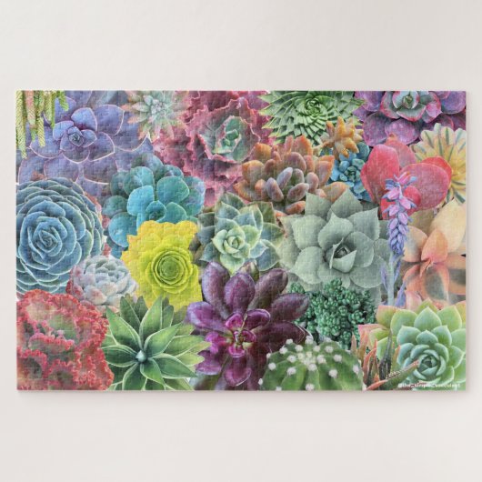 Colorful Succulent Puzzle Legpuzzel (Horizontaal)