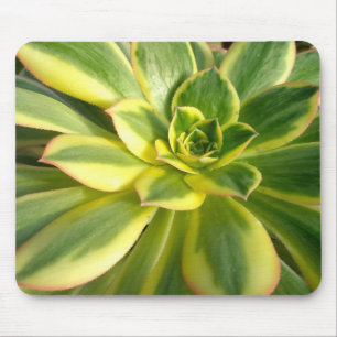 Colorful Succulents Mousepad #2 Muismat