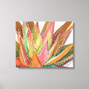 Colorful succulous waterverf door Debra Lee Baldwi Canvas Afdruk