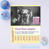 Colorful tear off dog flyer (Enkel)