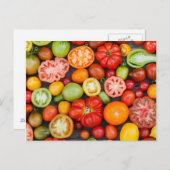 Colorful Tomatoes Briefkaart (Voorkant / Achterkant)