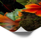 Colorful Toucan Bird Perfect Poster (Hoek)