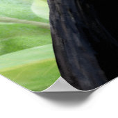 Colorful Tropical Bird Black Yellow Green Toucan Poster (Hoek)