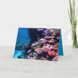 Colorful Tropical Coral Reef Kaart