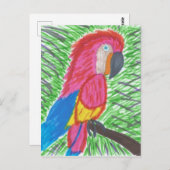 Colorful Tropical Macaw Briefkaart (Voorkant / Achterkant)