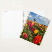 Colorful Tulip Field (Devant avec enveloppe)