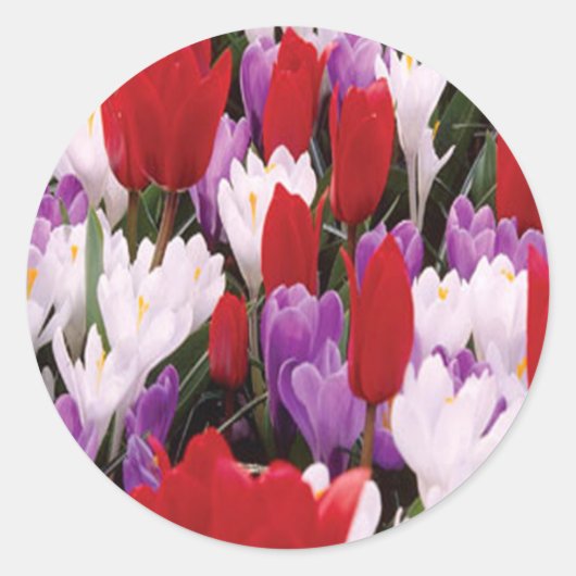 Colorful Tulip Flowers Stickers (Voorkant)