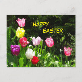 Colorful Tulips Happy Easter Briefkaart