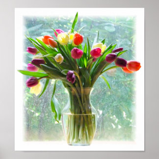 Colorful Tulips Poster