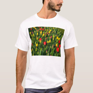 Colorful Tulips T-shirt