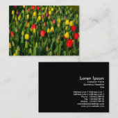 Colorful Tulips Visitekaartje (Voorkant / Achterkant)