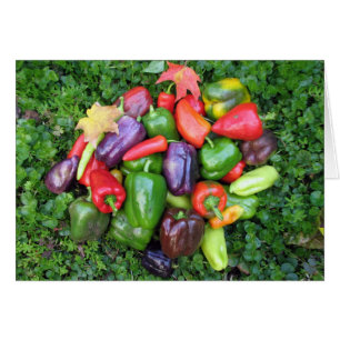 Colorful Veggies en Maple Leaves