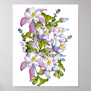 Colorful waterverf bouquet of columbine en green poster