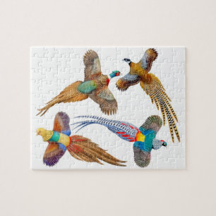 Colorful Wild Pheasants Puzzle Legpuzzel