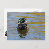 Colorful Wood Duck Briefkaart (Voorkant / Achterkant)